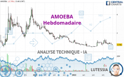 AMOEBA - Hebdomadaire