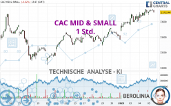 CAC MID & SMALL - 1 Std.