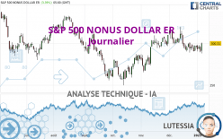 S&P 500 NONUS DOLLAR ER - Journalier