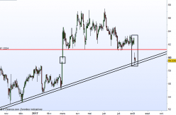 VICAT - Daily