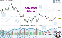 DSM KON - Diario
