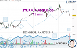 STURM RUGER & CO. - 15 min.