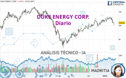 DUKE ENERGY CORP. - Diario