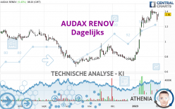 AUDAX RENOV - Diario