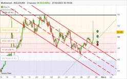 EGOLD - EGLD/USD - 2 uur