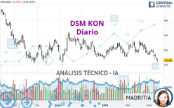 DSM KON - Diario