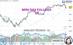 MINI DAX FULL0624 - 1 Std.