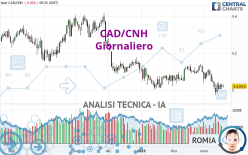 CAD/CNH - Giornaliero