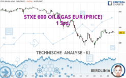 STXE 600 OIL&GAS EUR (PRICE) - 1 Std.
