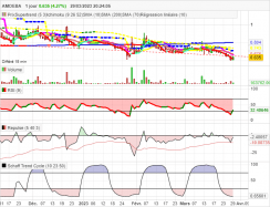 AMOEBA - Daily