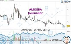 AMOEBA - Daily