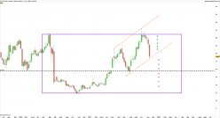 CELYAD ONCOLOGY - Weekly