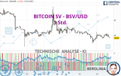 BITCOIN SV - BSV/USD - 1 Std.