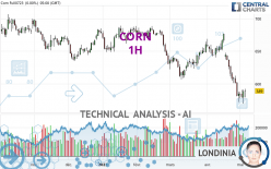 CORN - 1 Std.