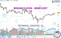 BINANCE COIN - BNB/USDT - 1 Std.