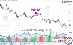 WHEAT - 1H