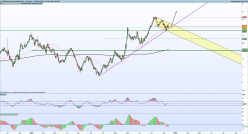 GASOL - Daily