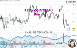 REMY COINTREAU - Diario