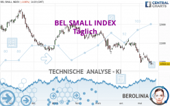 BEL SMALL INDEX - Täglich