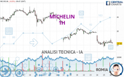 MICHELIN - 1H