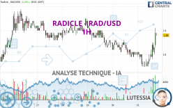 RADWORKS - RAD/USD - 1H