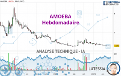 AMOEBA - Hebdomadaire