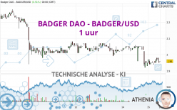 BADGER DAO - BADGER/USD - 1 uur