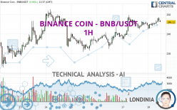 BINANCE COIN - BNB/USDT - 1 uur