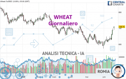 WHEAT - Daily