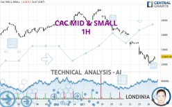 CAC MID & SMALL - 1H