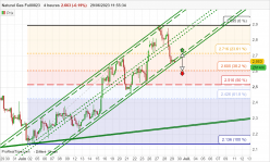 NATURAL GAS - 4 Std.