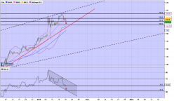 TRIGANO - 4H