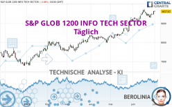 S&P GLOB 1200 INFO TECH SECTOR - Täglich