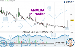 AMOEBA - Diario