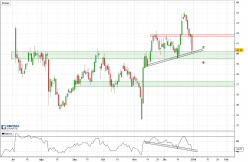 HSN INC. - Diario