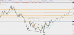 NZD/CAD - Daily