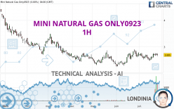 MINI NATURAL GAS ONLY0923 - 1 Std.