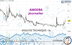 AMOEBA - Daily