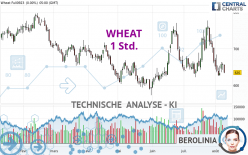 WHEAT - 1 Std.