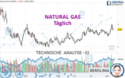NATURAL GAS - Dagelijks