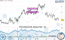 ENDESA - Dagelijks