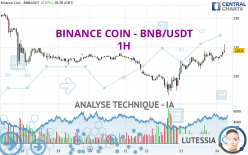 BINANCE COIN - BNB/USDT - 1 uur