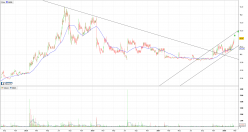 SENETAS CORPORATION LIMITED - Giornaliero