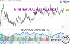 MINI NATURAL GAS FULL1023 - 1H