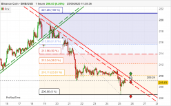 BINANCE COIN - BNB/USD - 1H