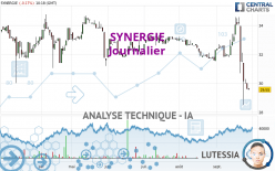 SYNERGIE - Journalier