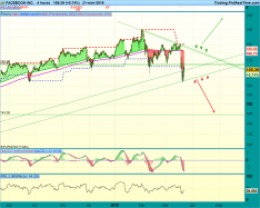 META PLATFORMS INC. - 4H