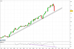 META PLATFORMS INC. - Monthly