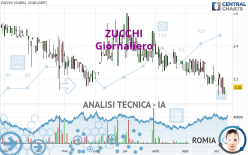 ZUCCHI - Giornaliero