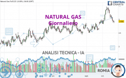 NATURAL GAS - Täglich